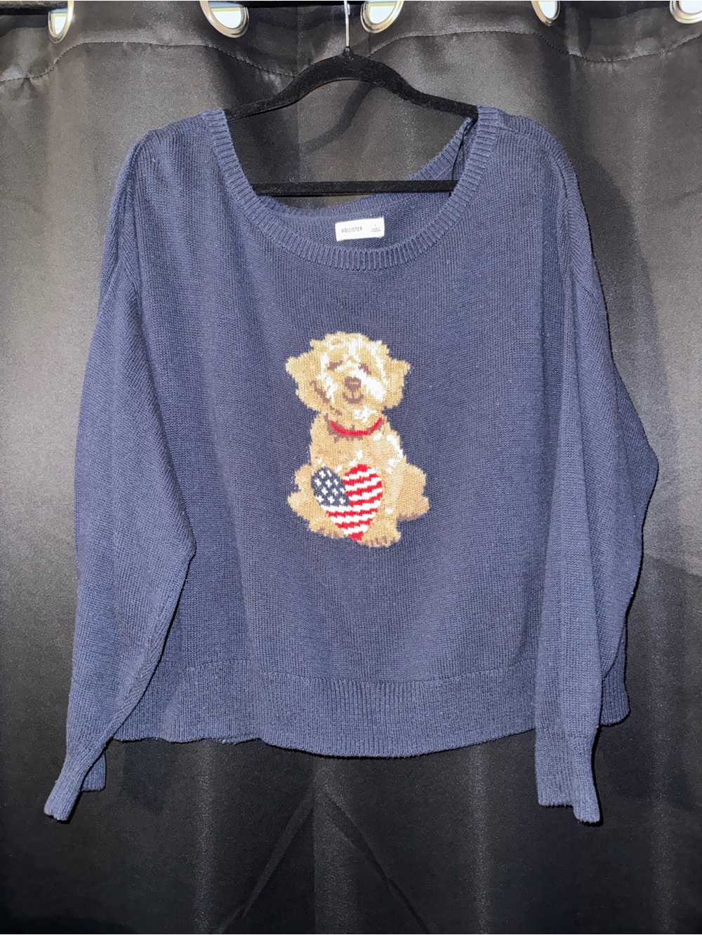 Hollister Navy Sweater with Patriotic Dog